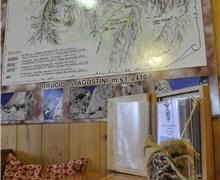 _DSC0203